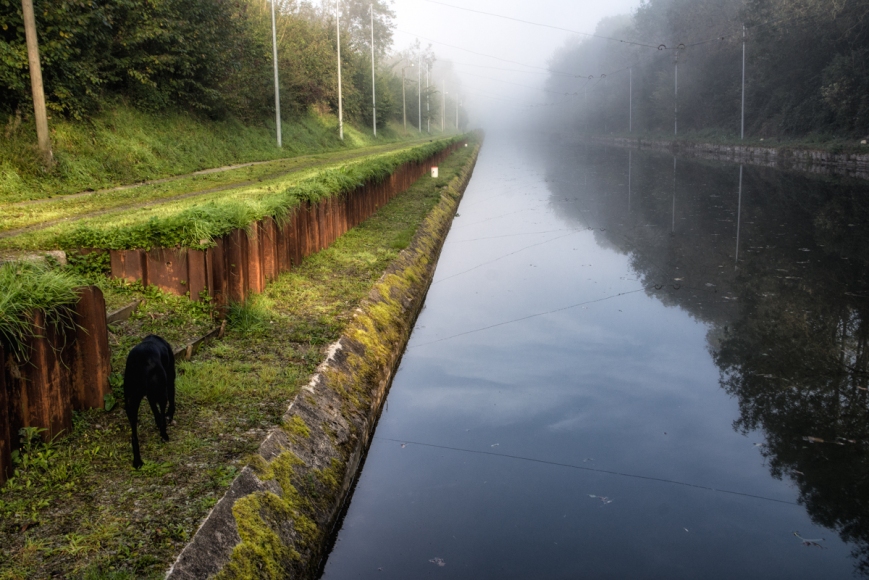 Fog hangs over the Canal de St.-Quentin in the morning.
